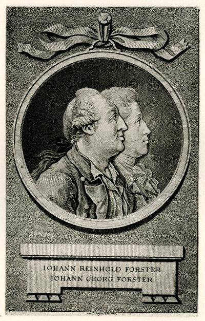 Johann Georg Forster by German School