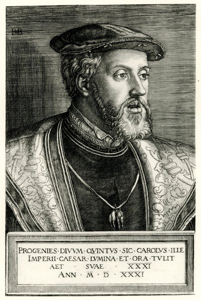 Charles V by German School