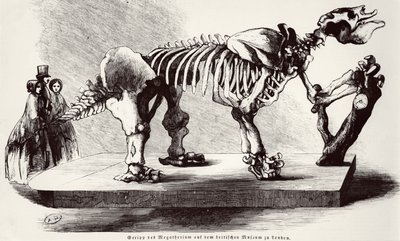 Megatherium Skeleton at the British Museum by German School