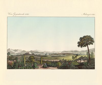 Mexico by German School