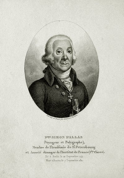 Peter Simon Pallas (1741 – 1811) by German School