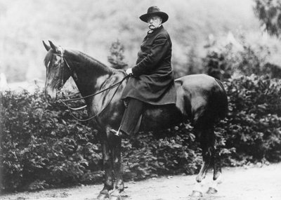 Prince Bismarck in Friedrichsruh, 1890 by German School