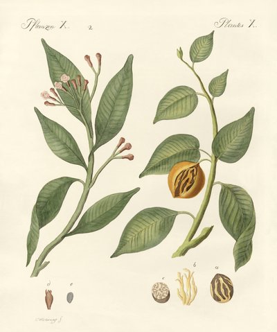 Spices by German School
