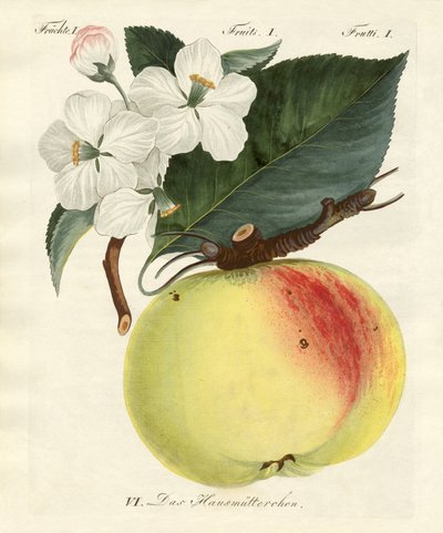Strange fruits by German School