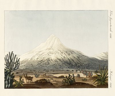 The Chimborazo in South America by German School