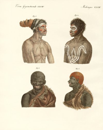 The Inhabitants of Australia by German School