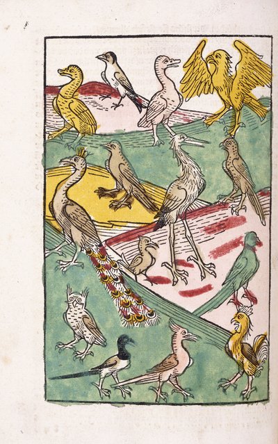 Various Bird Species in a Landscape, 1499 by German School