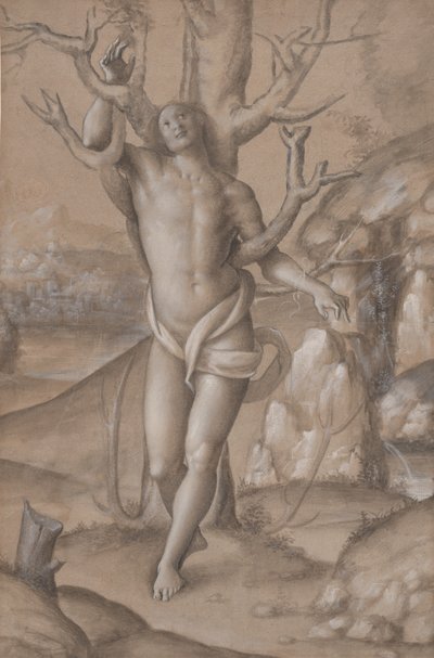 Saint Sebastian, ca. 1524 by Gerolamo Giovenone