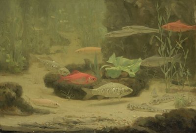 Gold- and Silverfish in an Aquarium by Gerrit Willem Dijsselhof