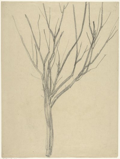 Bare Tree by Gerrit Willem Dijsselhof