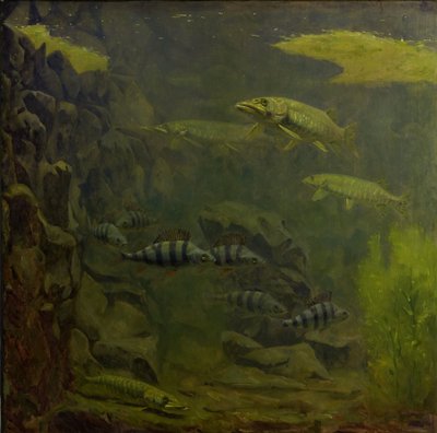 Pike and Perch in an Aquarium by Gerrit Willem Dijsselhof