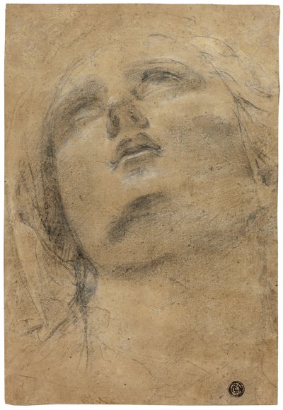 Head of the Virgin Looking Upwards by Giacomo Cavedone