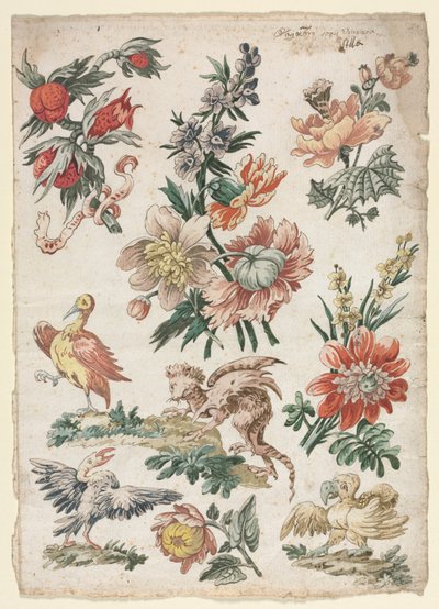 Floral Designs with Birds and Griffon by Giacomo Cavenezia