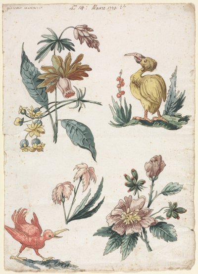 Floral Designs with Two Birds by Giacomo Cavenezia