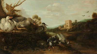 Waterfowl by Gijsbert Gillisz de Hondecoeter