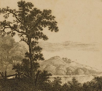 Landscape by Gillis Neyts