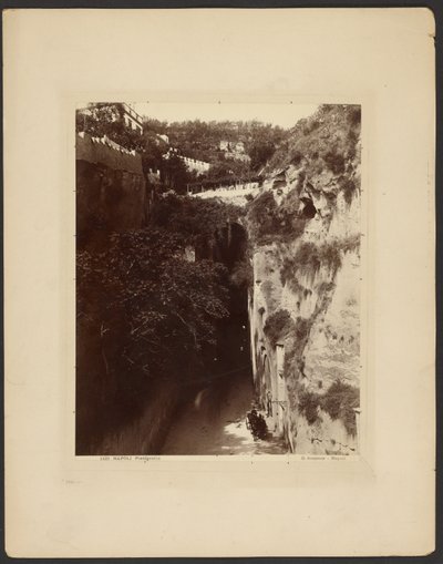 Naples, Piedigrotta by Giorgio Sommer