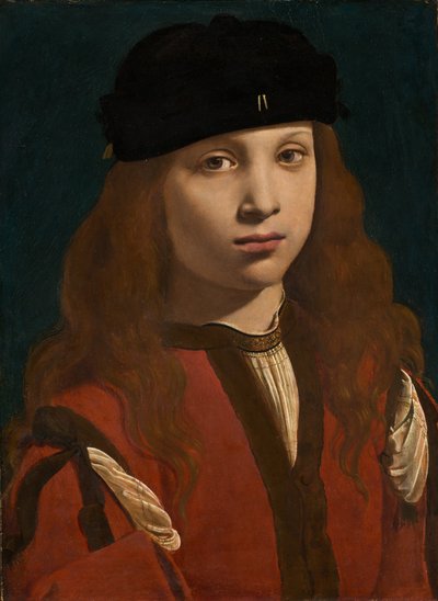 Portrait of a Youth by Giovanni Antonio Boltraffio