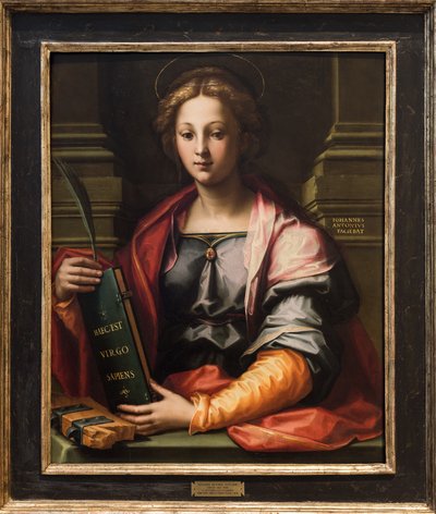 Saint Catherine of Alexandria by Giovanni Antonio Sogliani