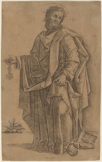 Saint Peter by Giovanni Antonio da Brescia