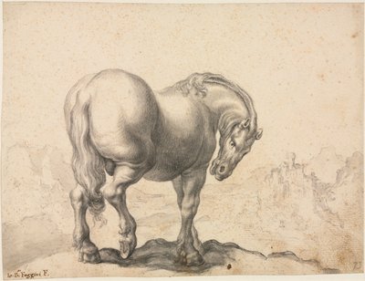 Study of a Stallion by Giovanni Battista Foggini