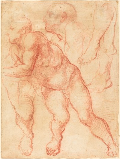 Studies of a Male Nude by Giovanni Battista Naldini