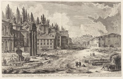 View of the Site by Giovanni Battista Piranesi