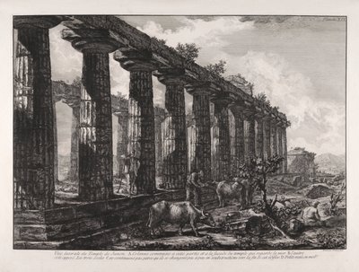 Lateral View of the Temple of Juno by Giovanni Battista Piranesi
