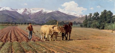 Ploughing by Giovanni Battista Quadrone