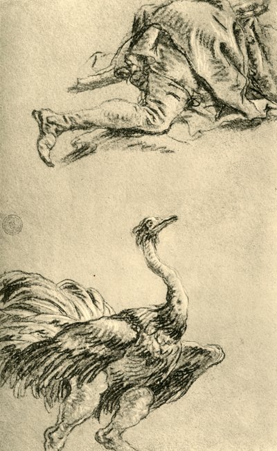 A running Ostrich by Giovanni Battista Tiepolo
