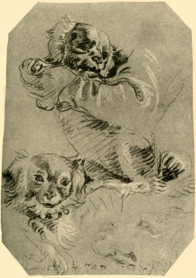 Bologna Dogs by Giovanni Battista Tiepolo