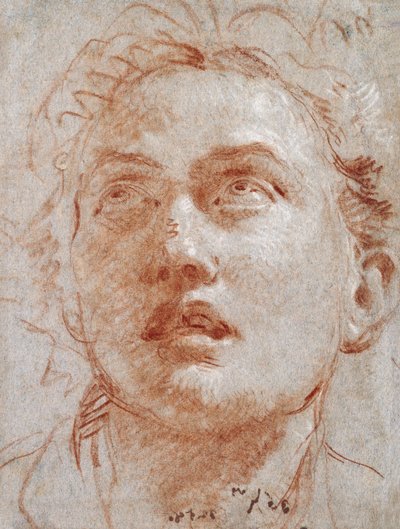 Head of a Man Looking Up by Giovanni Battista Tiepolo