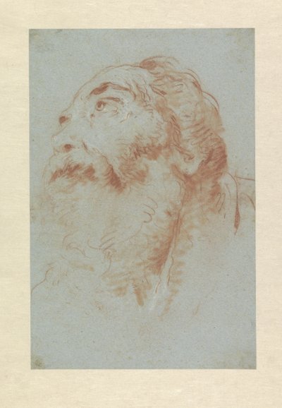 Head of an Old Man by Giovanni Battista Tiepolo