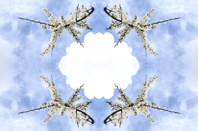 Unnatural 115 by Giovanni Cafagna