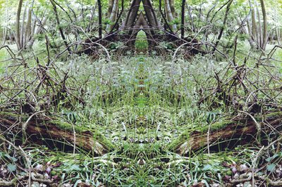Unnatural 33 by Giovanni Cafagna