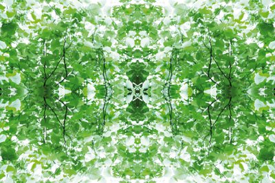 Unnatural 34 by Giovanni Cafagna