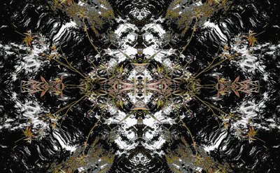 Unnatural 37 by Giovanni Cafagna