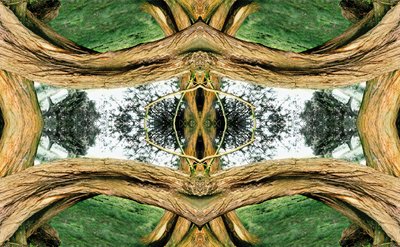 Unnatural 37 by Giovanni Cafagna