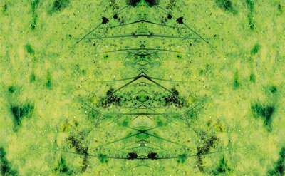 Unnatural 3 by Giovanni Cafagna