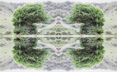Unnatural 40 by Giovanni Cafagna