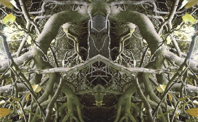 Unnatural 41 by Giovanni Cafagna