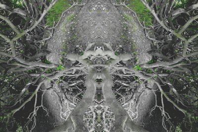 Unnatural 42 by Giovanni Cafagna
