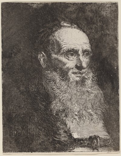 Old Man with a Beard by Giovanni Domenico Tiepolo