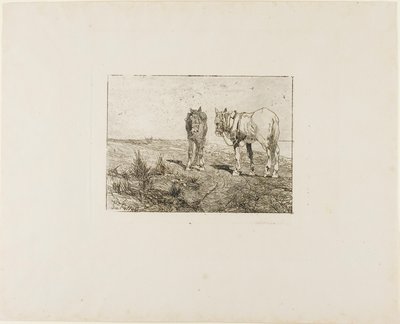 Horses
