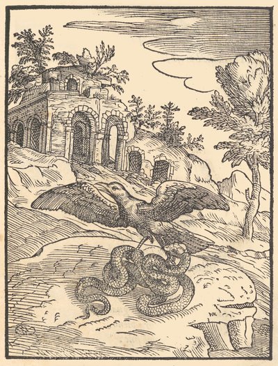 Bird and Snake by Giovanni Maria Verdizotti