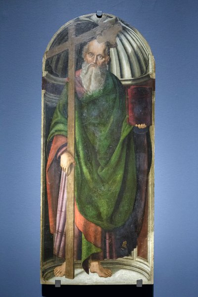 Saint Andrew by Giovanni Santi