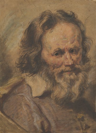 Head of a Bearded Man, 1600-1630 by Giovanni Serodine