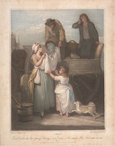 Fresh Gathered Peas, Young Hastings by Giovanni Vendramini
