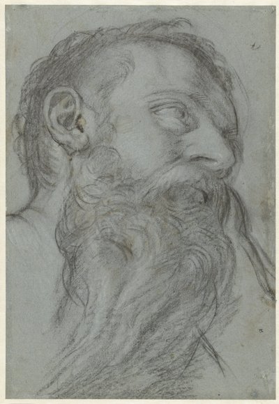 Study of a Head of a Prophet by Girolamo Muziano