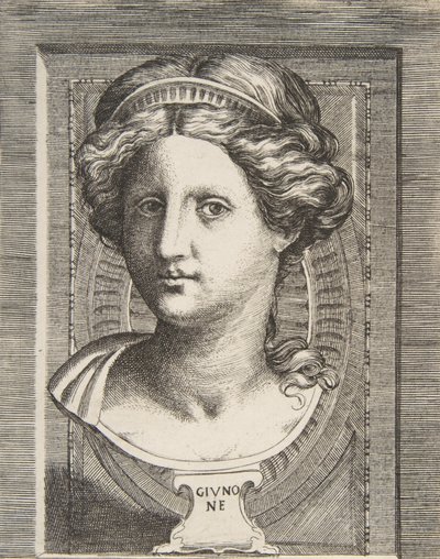 Sculpted Head of Juno by Giulio Bonasone